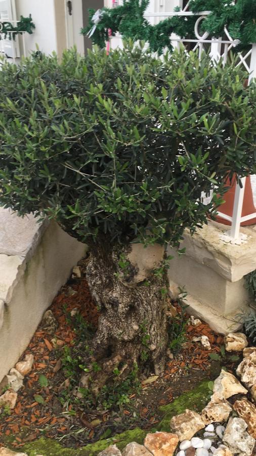 ナポリ Il Casale Di Gio Bed & Breakfast エクステリア 写真